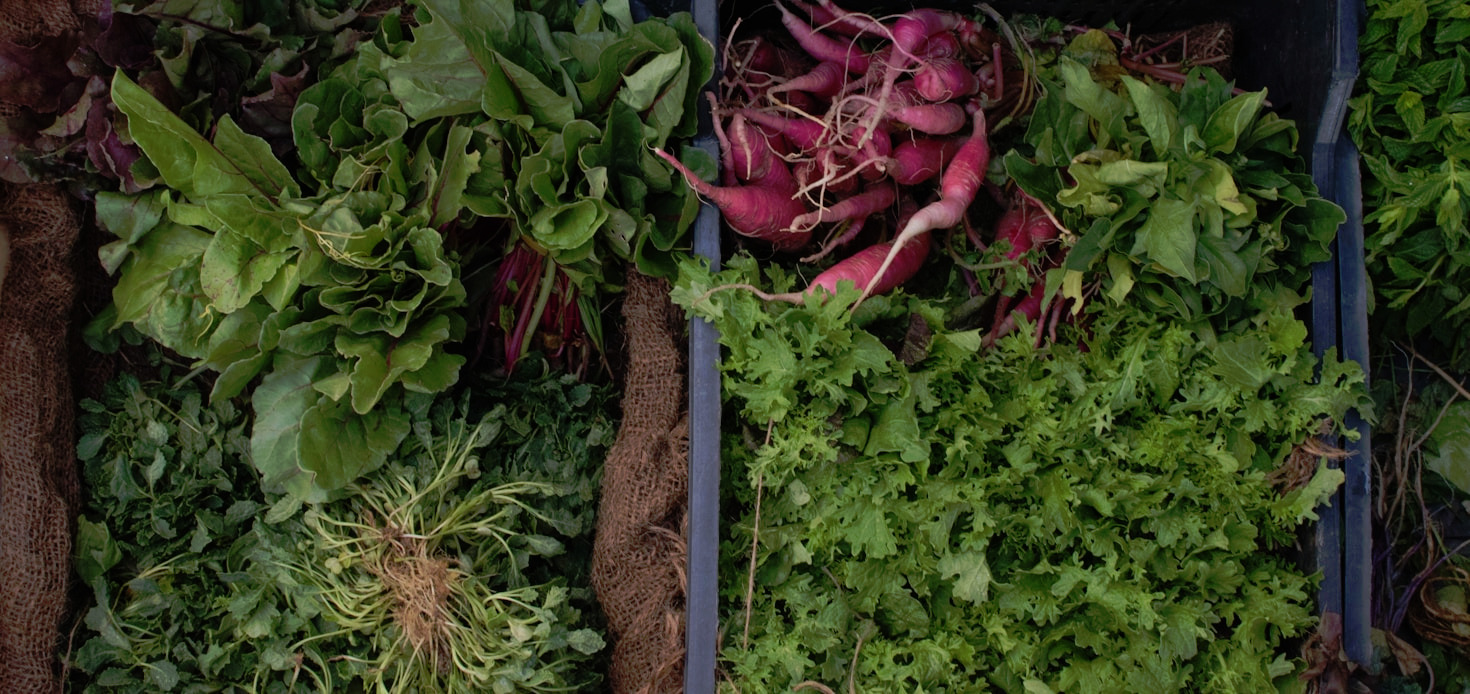 Why Transparency Matters in Consumer Choices